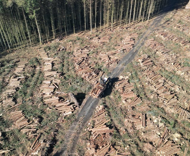 Government warn ignoring forest closures is putting workers at risk