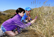 Range of activities on offer during this year's Manx Wildlife Week