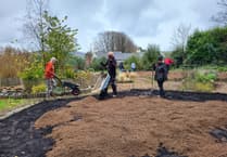 Community joins forces to revive 'Year of Our Island' garden