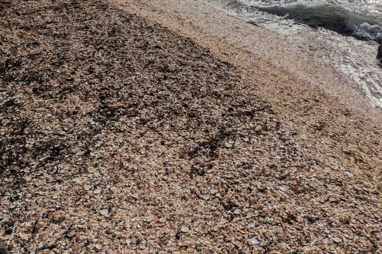 Fenella beach, Peel