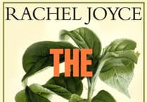 Book review: 'A novel about the cracks that can appear within a family'