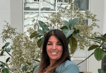 Nicola Libreri becomes GSC's new deputy CEO