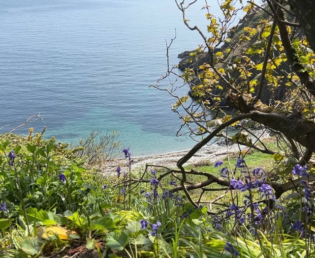 Police called to beach over multiple incidents of youth nuisance