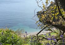 Police called to beach to deal with multiple incidents involving drunken youths