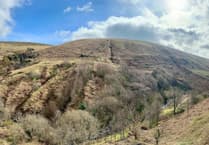 Manx Wildlife Trust set to restore Glen Auldyn rainforest area