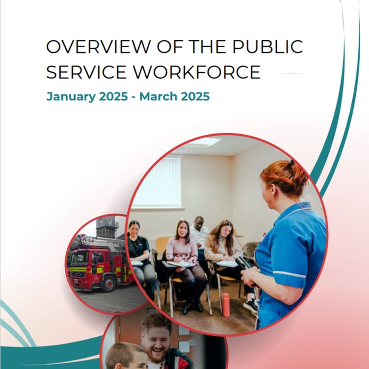 Overview of public sector workforce