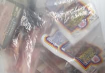 11 packets of cheese seized from campervan under new import rules