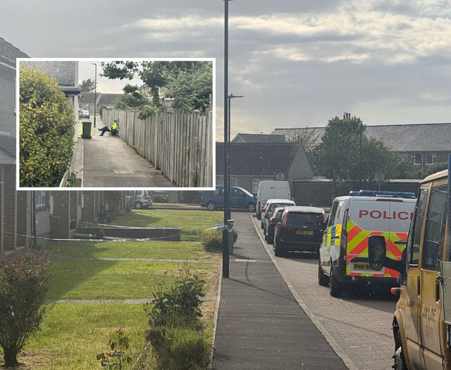 Man denies wounding with intent charge after stabbing incident