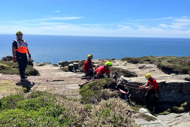 Fire Service crews rescue a dog which fell 50m down a crevice at the Chasms
