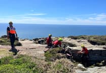 Fire crews rescue dog after it fell 160ft down crevice at beauty spot