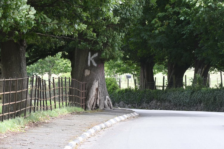 Temporary traffic lights will be in place at Churchtown this morning (Wednesday). Pictured is the distinctive 'K Tree'.