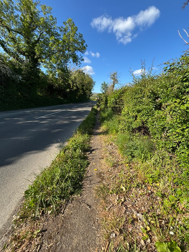 Ballaoates Road overgrown pavement