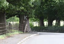 Claims Isle of Man TT visitors stole cows' troughs to use as barbecues