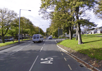 Delays expected on New Castletown Road due to large branch