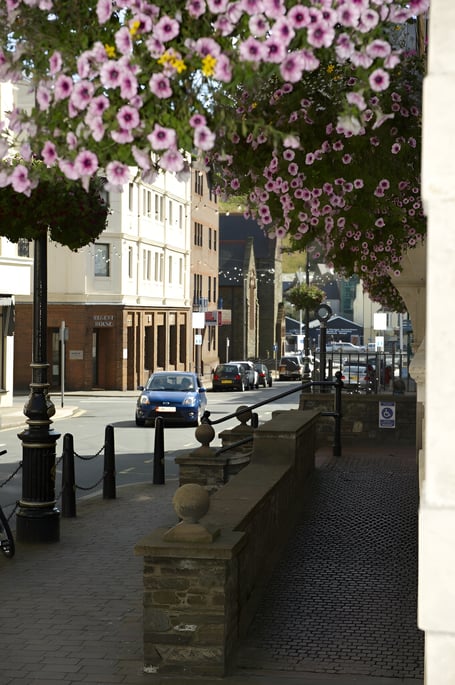 Flowers outside Douglas City Hall