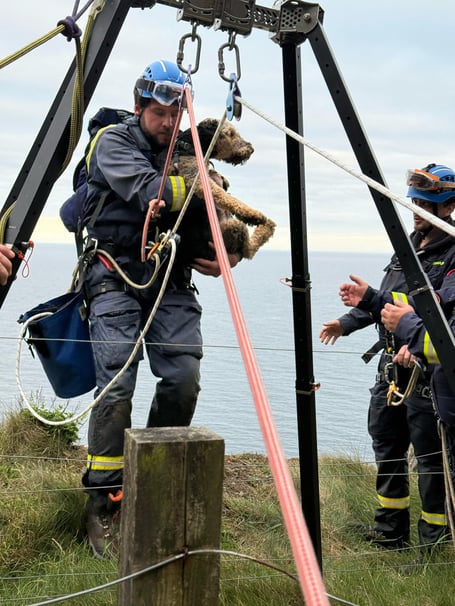 Douglas Coastguard team rescues dog at Marine Drive
