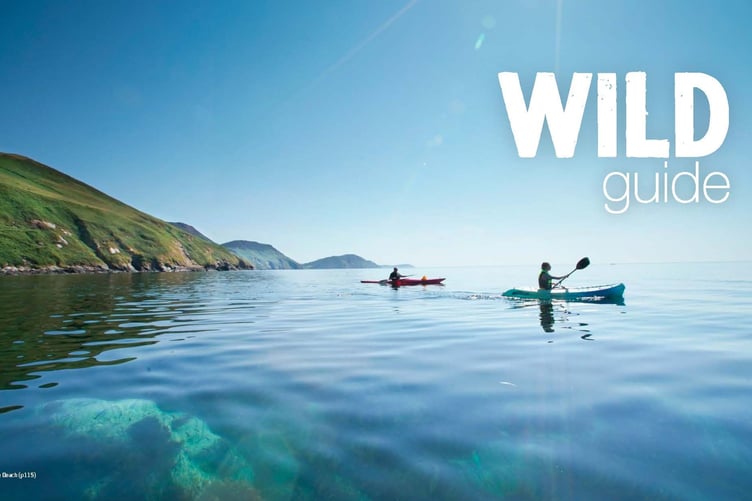 The guide is being launched this week