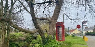 Commissioners seek creative ideas for old telephone box transformation
