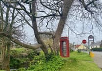 Commissioners seek creative ideas for old telephone box transformation
