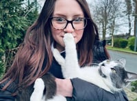Couple to collect cat who hitched a ride 400 miles to Devon