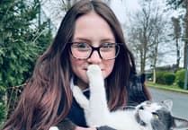 Isle of Man couple to collect cat who hitched a ride 400 miles to Devon