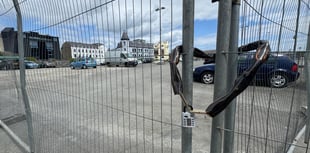 Claims documents were concealed or tampered with by government
