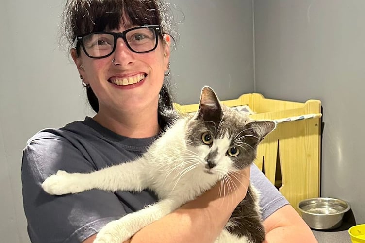 Liz Skillicorn is reunited with Dusty the cat at Kit Hill Castle Cattery