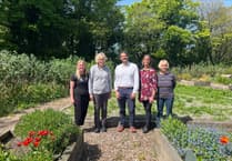 Manx Wildlife Trust launches pollinator support project