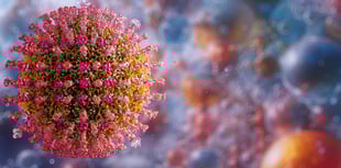 Public health team on high alert after Alder Hey measles death