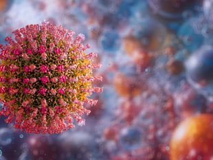 Public health team on high alert after Alder Hey measles death