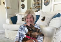 Ain't nothin' but a found dog! Elvis reunited with owner after five weeks missing