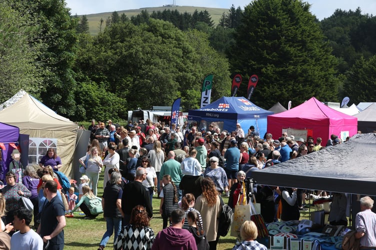 A number of stalls were situated at the rear of Tynwald Hill