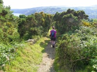 No extra funding for footpaths despite complaints