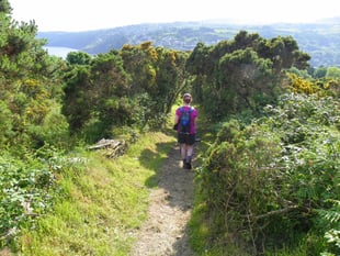 No extra funding for footpaths despite complaints