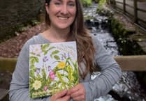 Botanical artist publishes book detailing island's trees, plants, and wildflowers