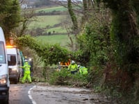Landowners reminded to trim their trees