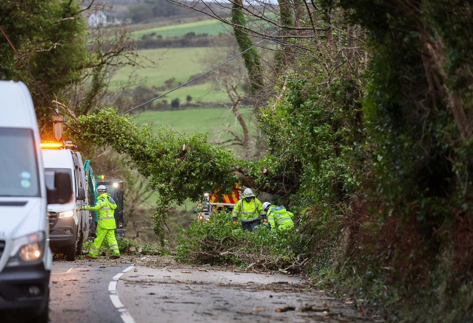 Landowners reminded to trim their trees