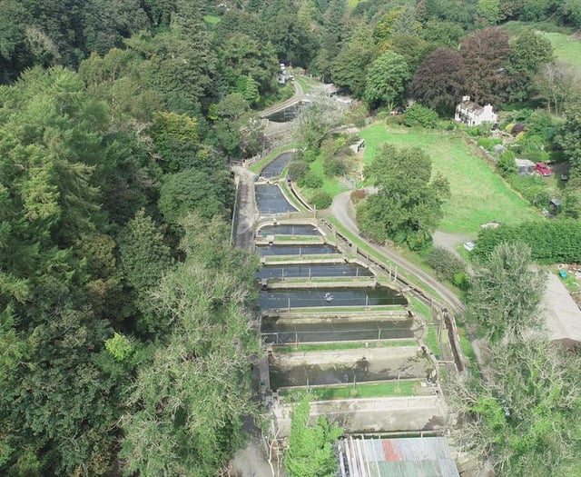 Isle of Man's fish farm to reopen for summer holidays 
