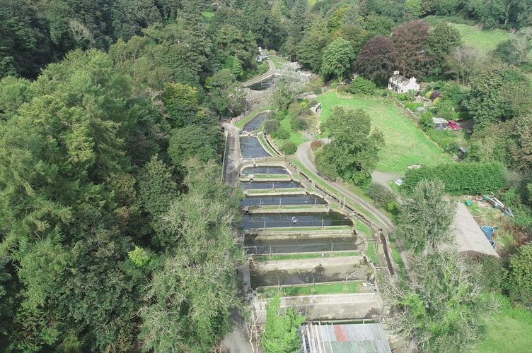 Cornaa Fish Farm in Maughold is reopening its gates to the public during the school holidays