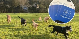 Dog day care offers Tesco vouchers to struggling families this summer