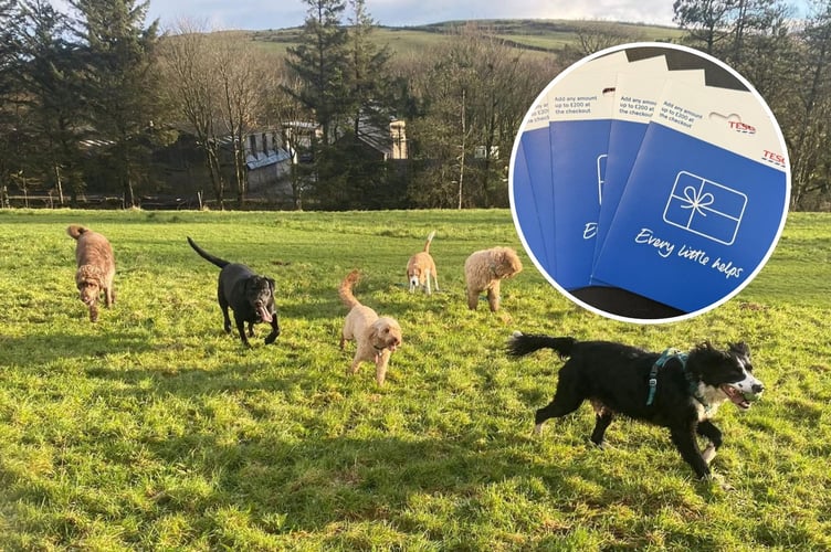 A Douglas doggy day care business is doing its bit to help families feeling the pinch this summer