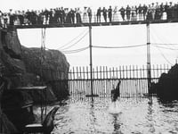 The rich history of Groudle Glen