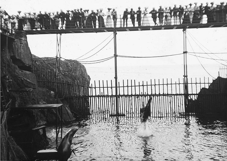 Sea lions brought from California performing at Groudle Glen in late 19th century (Photo: Manx National Heritage)