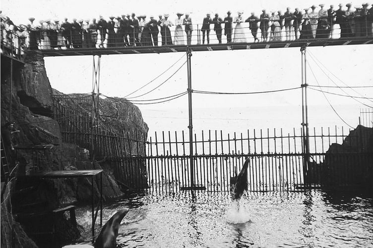 Sea lions brought from California performing at Groudle Glen in late 19th century (Photo: Manx National Heritage)
