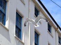 Authority issues warning to stop feeding seagulls after complaints
