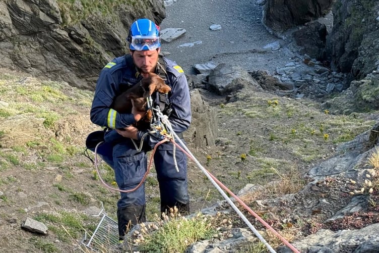 A Douglas Coastguard member rescues a dog which went over cliffs at Marine Drive in Douglas