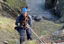 Coastguard team rescues dog after it went over cliffs at Marine Drive