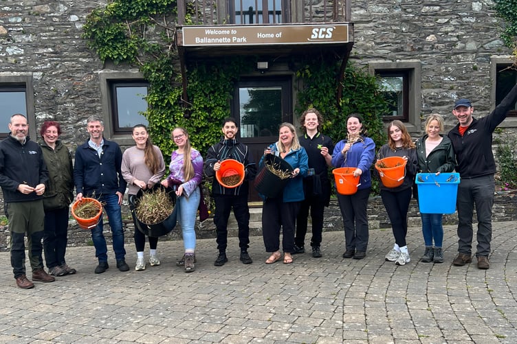 The participants in the first activity mixer event