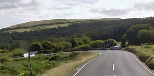 'Fortunate' grass blaze was discovered early, fire service says