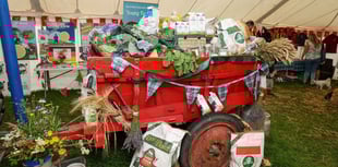 Petition demands supermarkets do more to stock Manx produce